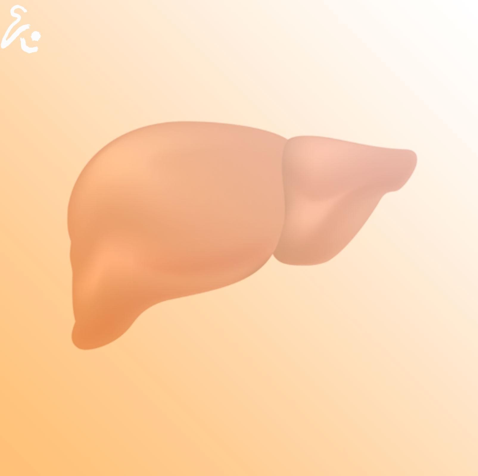 The Symptoms of Hepatitis C: Understanding the Signs